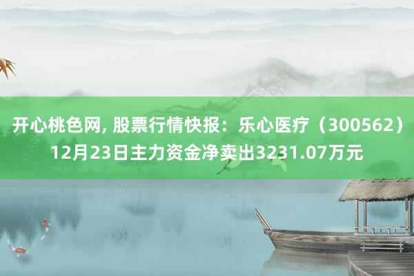 开心桃色网， 股票行情快报：乐心医疗（300562）12月23日主力资金净卖出3231.07万元