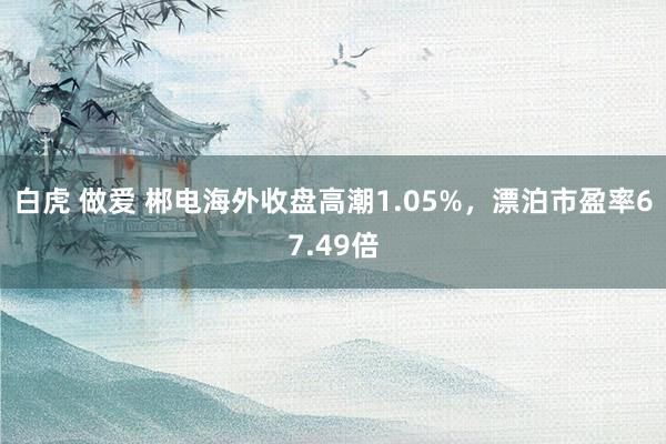 白虎 做爱 郴电海外收盘高潮1.05%，漂泊市盈率67.49倍