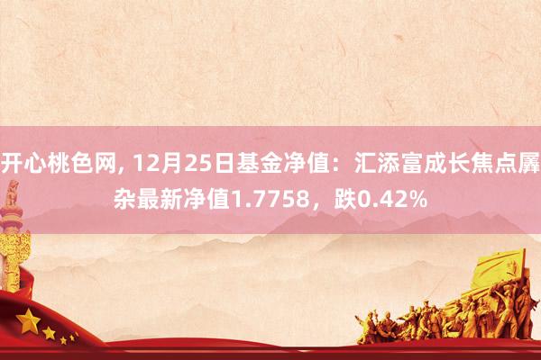 开心桃色网， 12月25日基金净值：汇添富成长焦点羼杂最新净值1.7758，跌0.42%