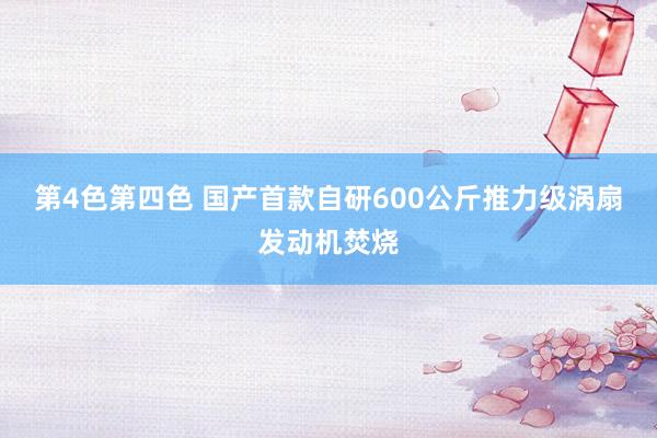 第4色第四色 国产首款自研600公斤推力级涡扇发动机焚烧