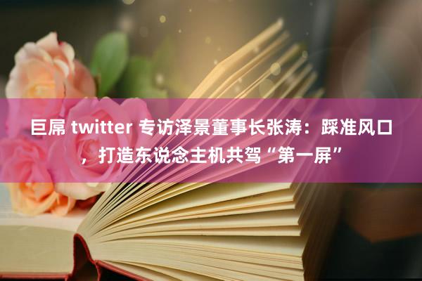 巨屌 twitter 专访泽景董事长张涛：踩准风口，打造东说念主机共驾“第一屏”