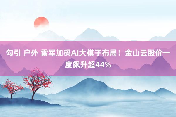 勾引 户外 雷军加码AI大模子布局！金山云股价一度飙升超44%