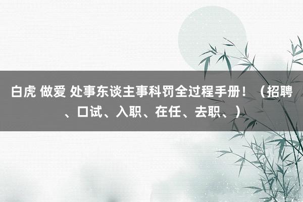 白虎 做爱 处事东谈主事科罚全过程手册！（招聘、口试、入职、在任、去职、）