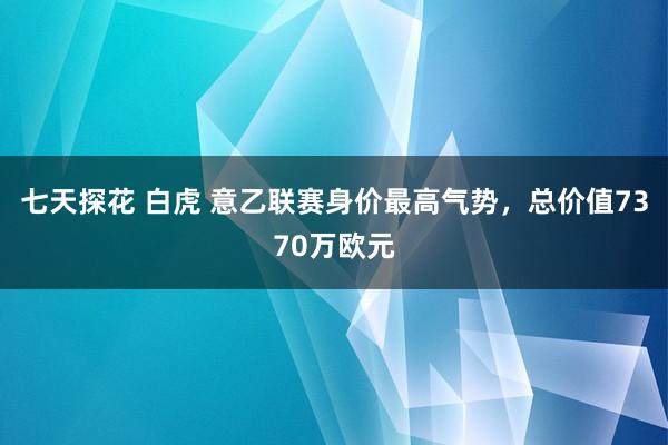 七天探花 白虎 意乙联赛身价最高气势，总价值7370万欧元