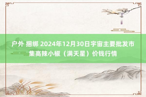 户外 捆绑 2024年12月30日宇宙主要批发市集高辣小椒（满天星）价钱行情