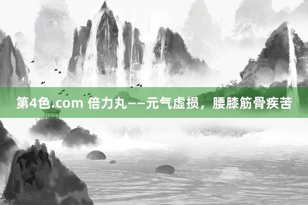 第4色.com 倍力丸——元气虚损，腰膝筋骨疾苦