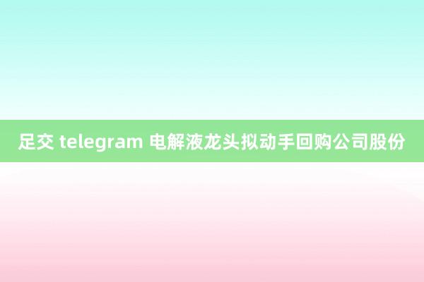 足交 telegram 电解液龙头拟动手回购公司股份