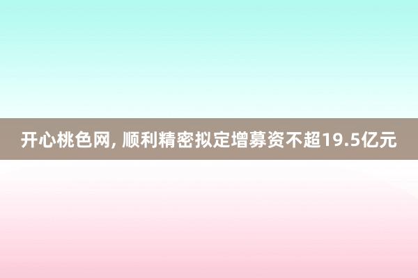 开心桃色网， 顺利精密拟定增募资不超19.5亿元