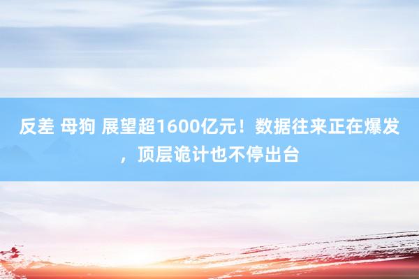 反差 母狗 展望超1600亿元！数据往来正在爆发，顶层诡计也不停出台