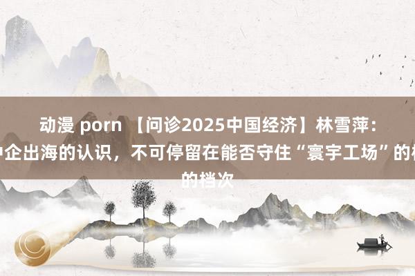 动漫 porn 【问诊2025中国经济】林雪萍：对中企出海的认识，不可停留在能否守住“寰宇工场”的档次